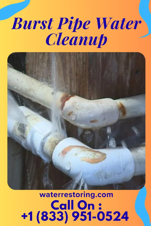 Burst Pipe Water Cleanup in Calhoun, TN