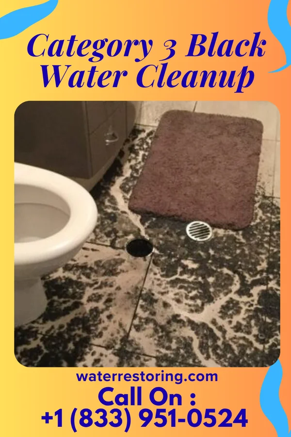 Category 3 Black Water Cleanup in Calhoun, TN